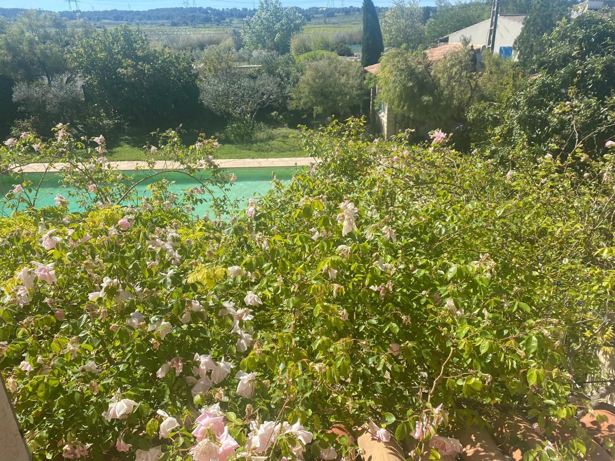 Le Mas Des Oliviers Martigues Exteriér fotografie