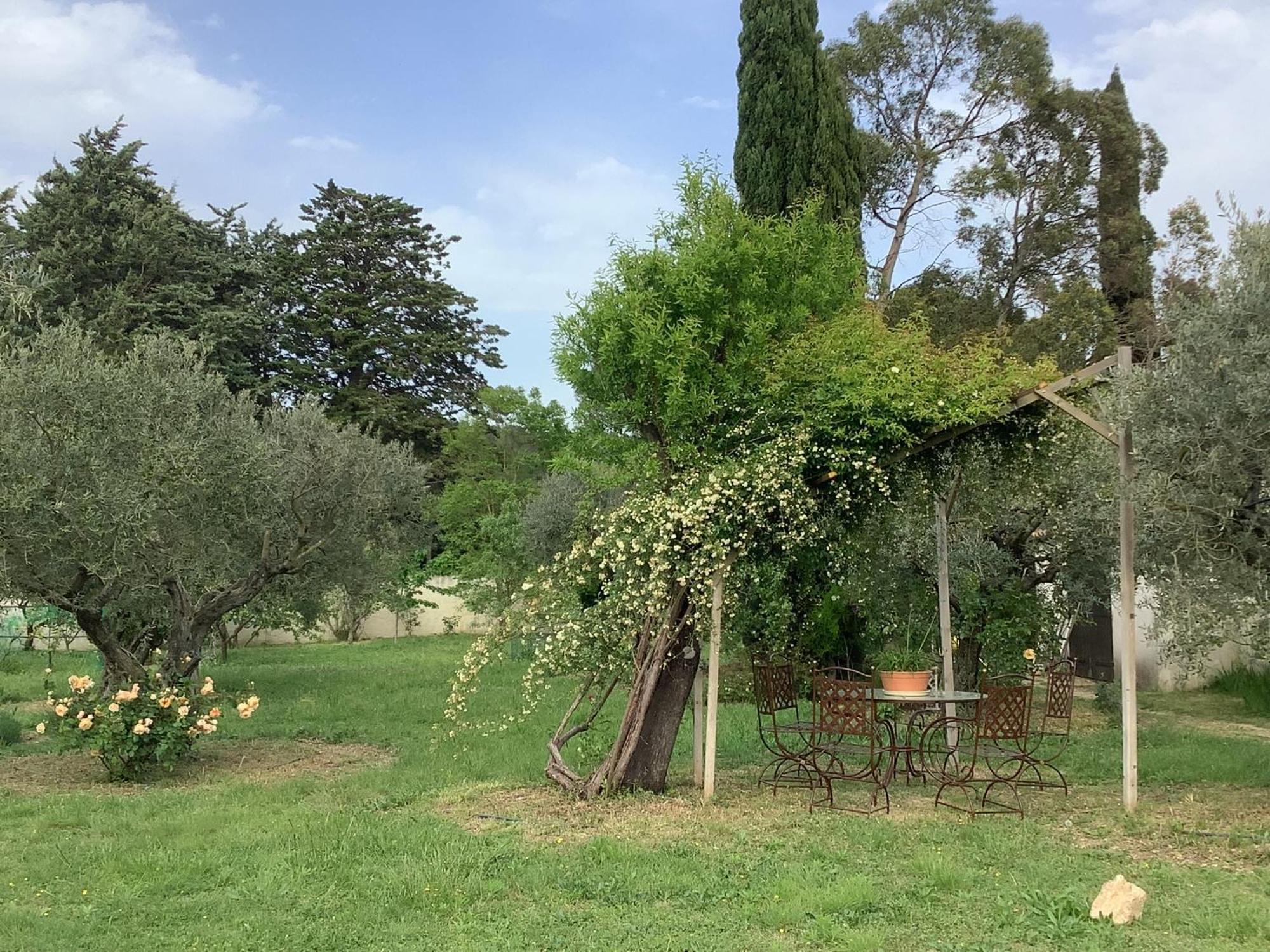 Le Mas Des Oliviers Martigues Exteriér fotografie